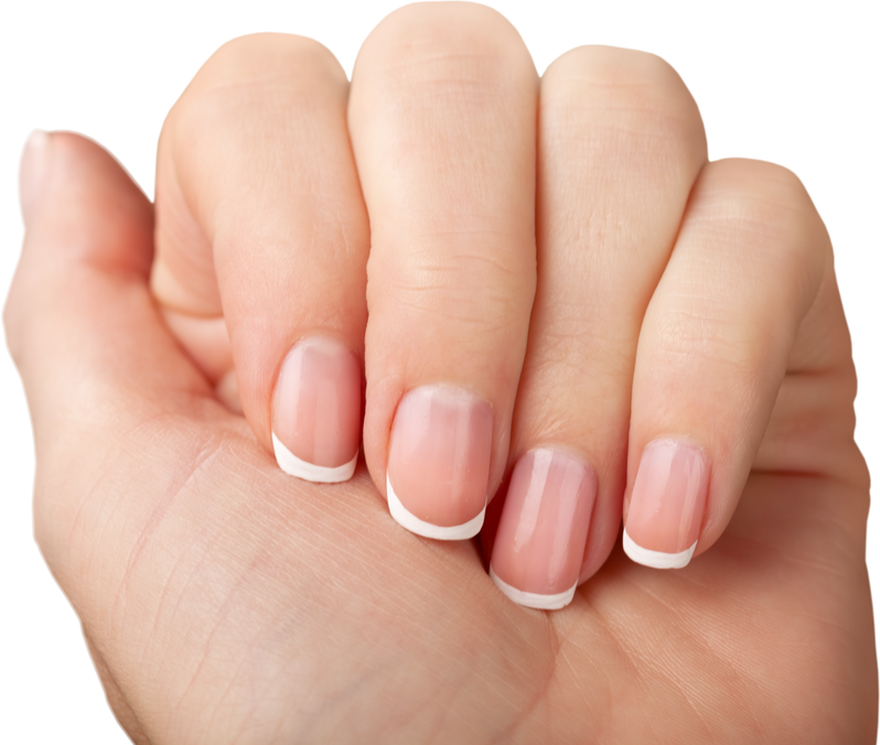 Female Hand with Manicure